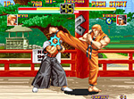The Art of Fighting